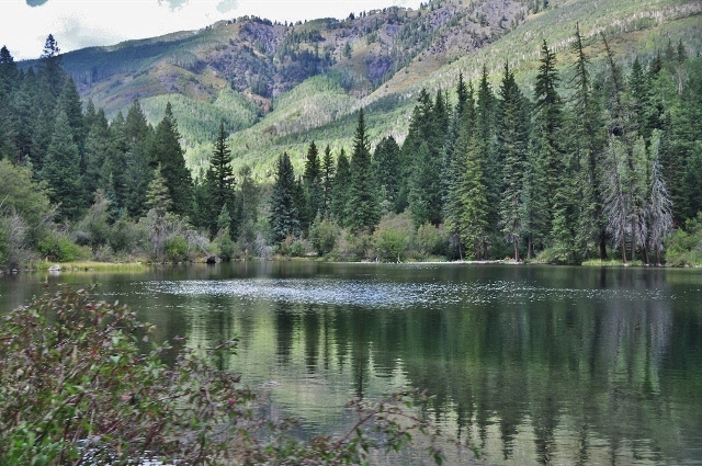 Lizard Lake